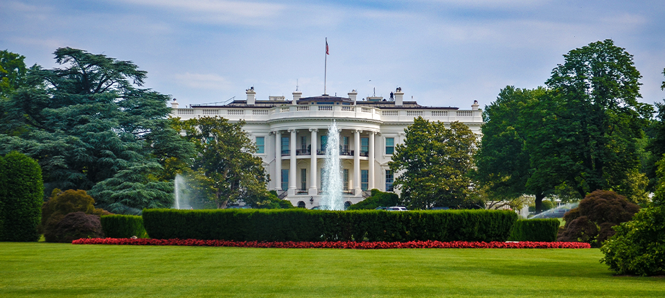 Calming the Politics of Fear: Technology and the Anxious Brain